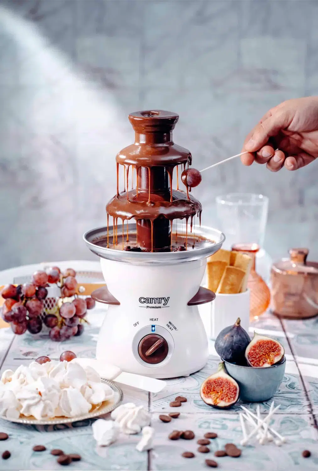 Camry Chocolate Fountain setup with fruits and snacks
