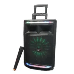 TWS SPEAKER 12 INCHES-SZ1219